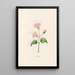 Nicotiana - Magdalena Rosina Funck — quadro incorniciato alla parete