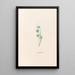 Étoile de jacinthe - Magdalena Rosina Funck — quadro incorniciato alla parete