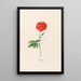 Rose turche - Magdalena Rosina Funck — quadro incorniciato alla parete