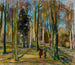 Vista da Kaivopuisto - Magnus Enckell — vista dell’opera