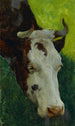 Studio di una mucca - Marc-Aurèle de Foy Suzor-Coté — vista dell’opera