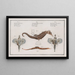 2 Pégase Draconis Il Drago di Mare 3 Syngnathus Ippocampo L'Ippocampo - Marcus Elieser Bloch — quadro incorniciato alla parete