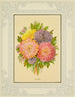 Aster - Marcus Ward & Co. — vista dell’opera