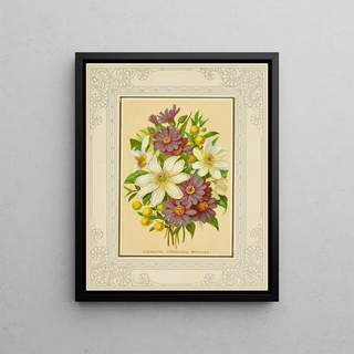 Marcus Ward Co - Clematis Cineraria Buddlea.webp