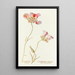 Tulipano farfalla - Margaret Armstrong — quadro incorniciato alla parete