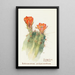 Cactus hérisson - Margaret Armstrong — quadro incorniciato alla parete