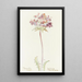 Sauge chardon - Margaret Armstrong — quadro incorniciato alla parete