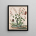 di farfalle, un serpente e una tartaruga intorno a un agave in fiore - Maria Moninckx — quadro incorniciato alla parete
