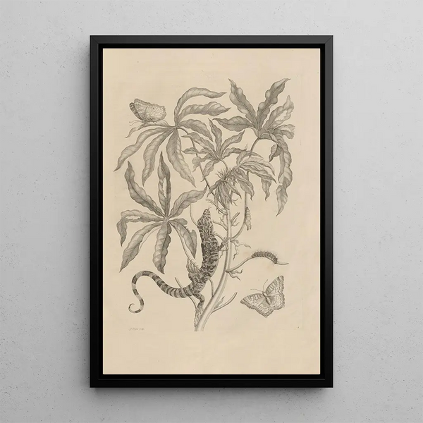 Dissertation sur la génération et les métamorphoses des insectes du Surinam Pl04 - Maria Sibylla Merian — quadro incorniciato alla parete