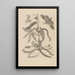 Dissertation sur la génération et les métamorphoses des insectes du Surinam Pl05 - Maria Sibylla Merian — quadro incorniciato alla parete