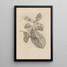 Dissertation sur la génération et les métamorphoses des insectes du Surinam Pl28 - Maria Sibylla Merian — quadro incorniciato alla parete