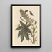 Dissertation sur la génération et les transformations des insectes de Surinam Pl06 - Maria Sibylla Merian — quadro incorniciato alla parete