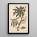 Dissertation sur la génération et les transformations des insectes de Surinam Pl30 - Maria Sibylla Merian — quadro incorniciato alla parete