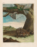 Rat de forêt - Maria Sibylla Merian — vista dell’opera