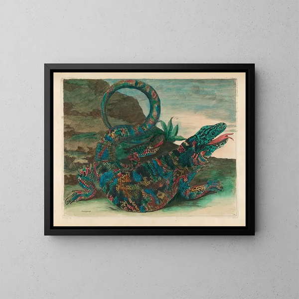 Salvataggio - Maria Sibylla Merian — quadro incorniciato alla parete