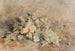 Un bouquet di rose selvagge - Marie Egner — vista dell’opera