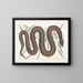 Un Recinoides e la corteccia di Ilathera, Anguis e il serpente con ventre di rame - Mark Catesby — quadro incorniciato alla parete