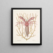 Cancellus maximus Le Bernard-l'ermite marin Lithophyton c - Mark Catesby — quadro incorniciato alla parete