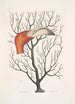 Caput Phoenicopteri Le bec du flamant dans ses dimensions complètes Keratophyton c - Mark Catesby — vista dell’opera