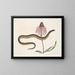 Cécilia Maculata, il serpente di vetro, crisantemo - Mark Catesby — quadro incorniciato alla parete