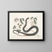Frutex c Anguis c Le Serpent Noir - Mark Catesby — quadro incorniciato alla parete