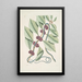 Frutex c Anguis gracilis cruleoviridis Il serpente blu-verde - Mark Catesby | Reproduction — quadro incorniciato alla parete
