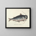Immagini di pesci, serpenti, insetti e altri animali così come di alcune piante - Mark Catesby — quadro incorniciato alla parete