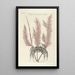 Piscium serpentum insectorum aliorumque nonnullorum animalum nec non plantarum quarundam imagines Pl035 - Mark Catesby — quadro incorniciato alla parete