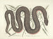 Immagini di pesci, serpenti, insetti e altri animali così come di alcune piante Pl046 - Mark Catesby — vista dell’opera
