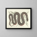 Immagini di pesci, serpenti, insetti e altri animali così come di alcune piante Pl046 - Mark Catesby — quadro incorniciato alla parete