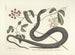 Immagini di pesci, serpenti, insetti e altri animali così come di alcune piante Pl048 - Mark Catesby — vista dell’opera