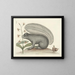 Immagini di pesci, serpenti, insetti e altri animali così come di alcune piante Pl074 - Mark Catesby — quadro incorniciato alla parete
