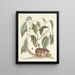 Pesci, serpenti, insetti e alcuni altri animali, così come alcune foto di piante Pl075 - Mark Catesby — quadro incorniciato alla parete