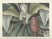 Immagini di pesci, serpenti, insetti e altri animali così come di alcune piante Pl080 - Mark Catesby — vista dell’opera