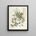 Pesci, serpenti, insetti e alcuni altri animali, così come alcune immagini di piante Pl093 - Mark Catesby — quadro incorniciato alla parete