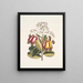 Pomifera c Le Cushew Tree - Mark Catesby — quadro incorniciato alla parete