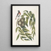 Ruticilla Americana Le Paruline à Gorge Rouge Juglans Nigra Le Noyer Noir - Mark Catesby — quadro incorniciato alla parete