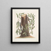 Sittelle à tête noire Il querceto dei salici delle Highlands Sittelle à tête brune La piccola Sittelle - Mark Catesby — quadro incorniciato alla parete