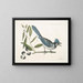 Smilax lisse, lauro a foglie non dentate, bacche nere, la Smilax a foglie di lauro, Pica cristata carulea, il Ghiandaia blu a cresta - Mark Catesby — quadro incorniciato alla parete