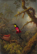 Un couple di colibrì topazi cramosi nidificanti - Martin Johnson Heade — vista dell’opera