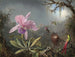 Orchidea Cattleya e tre colibrì - Martin Johnson Heade — vista dell’opera