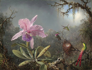 Orchidea Cattleya e tre colibrì - Martin Johnson Heade — vista dell’opera