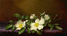 Roses Cherokee su un tessuto viola - Martin Johnson Heade — vista dell’opera