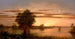 Lever de soleil en Floride - Martin Johnson Heade — vista dell’opera
