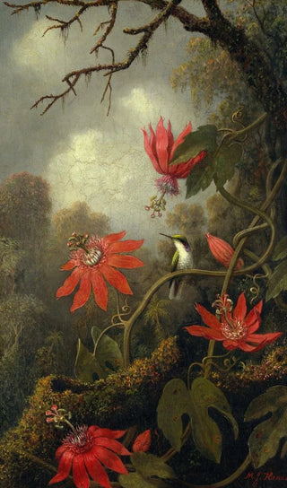Martin Johnson Heade - Hummingbird and Passionflowers.webp