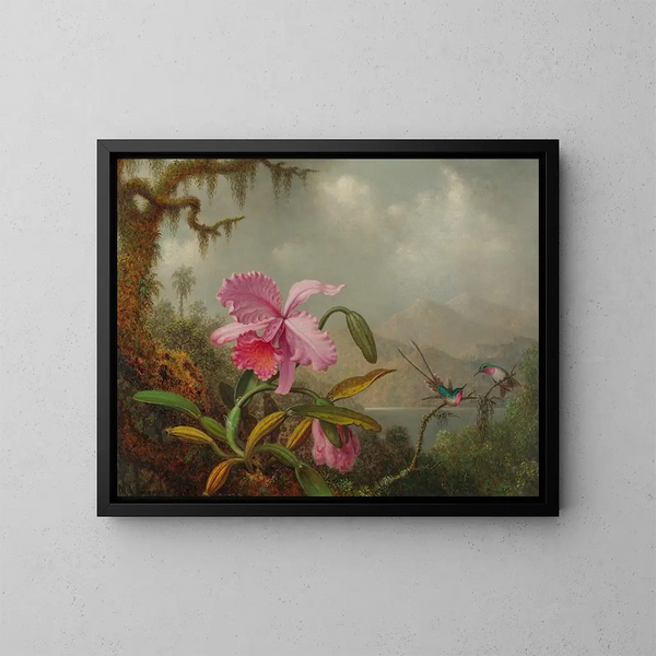 Orchidee e colibrì - Martin Johnson Heade — quadro incorniciato alla parete