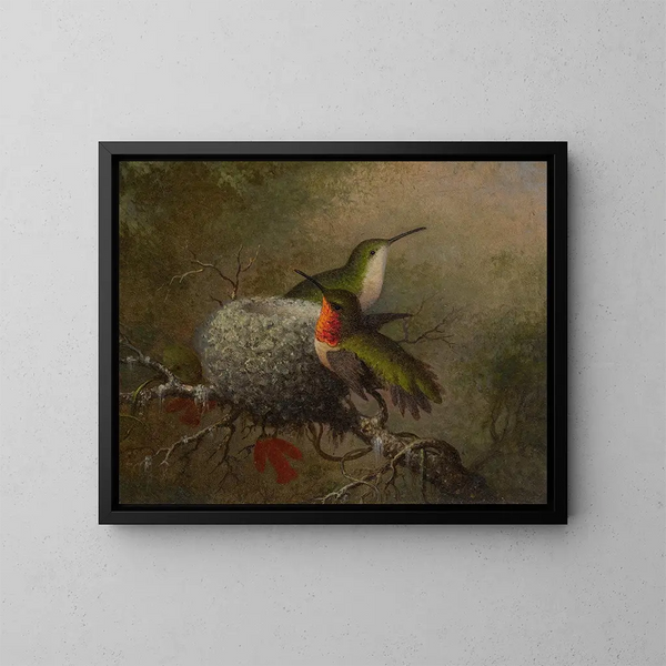Due gorgi-bleu vicino al loro nido - Martin Johnson Heade — quadro incorniciato alla parete