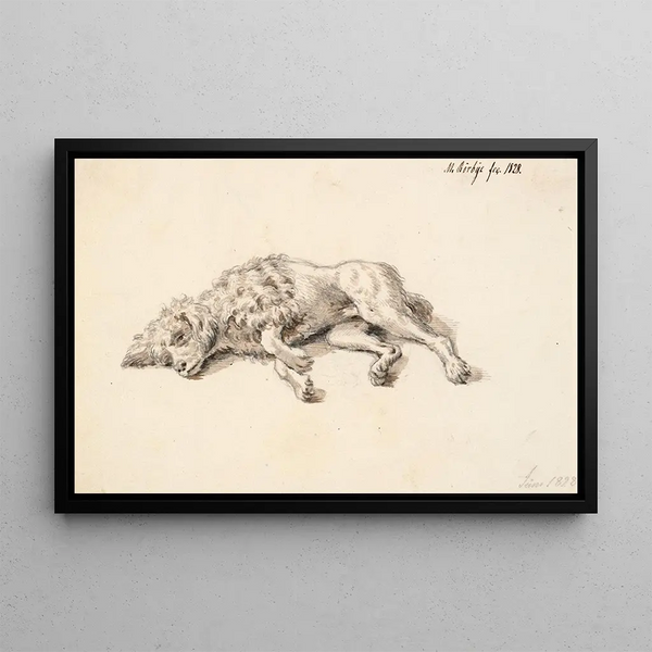 Caniche sdraiato - Martinus Rørbye — quadro incorniciato alla parete