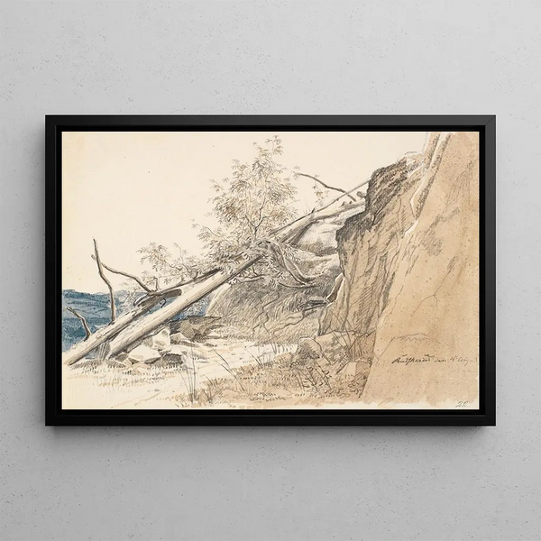 Tronco d'albero appoggiato contro una roccia, Norvegia - Martinus Rørbye — quadro incorniciato alla parete