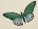 Papillon - Mary Altha Nims — vista dell’opera